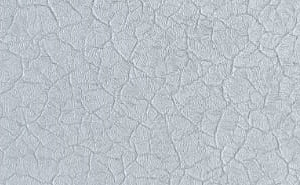 Alligator Grey