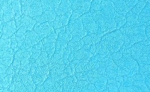 Alligator Cool Blue